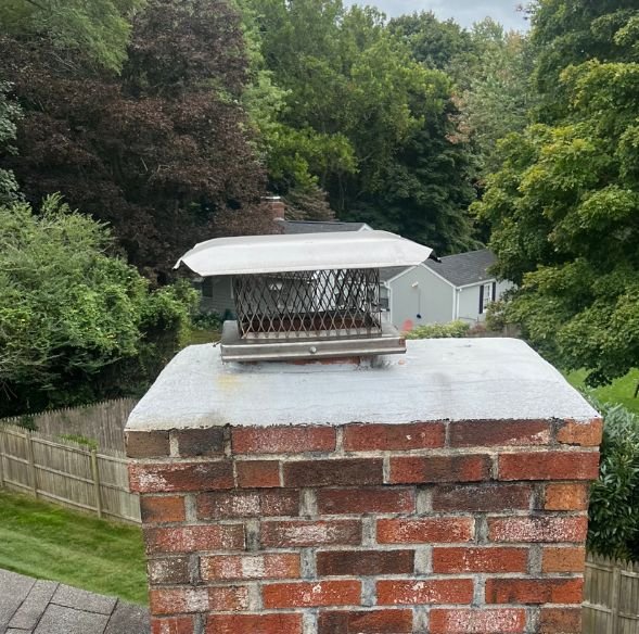 Chimney cap for animal