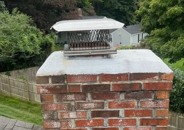 Chimney cap for animal 1