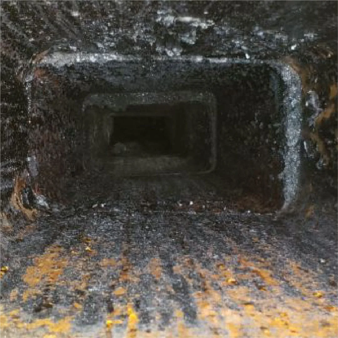 Chimney-Before-Work Chimney-Before-Work