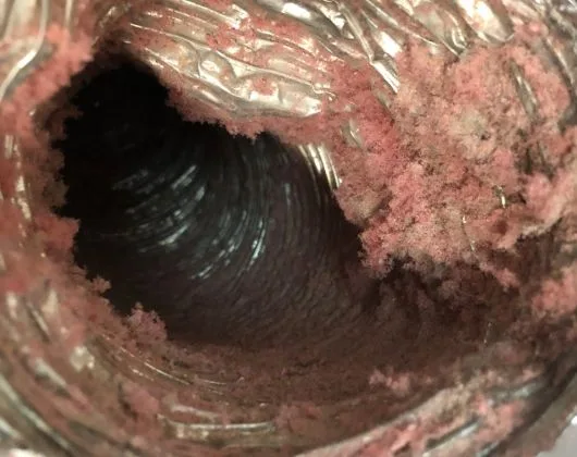 Dryer Vent Removel 1.jpg