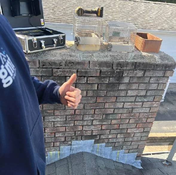 Furnace Flue Cleaning s9.jpg