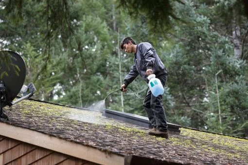 Roof Cleaning Debris Removal