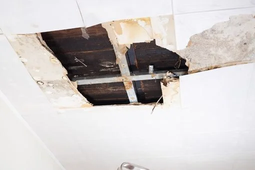 What Chimney Water Damage Can Do to Your Home