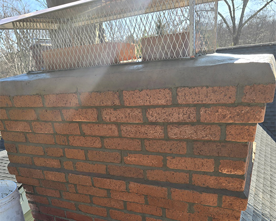 Chimney Damper Repair